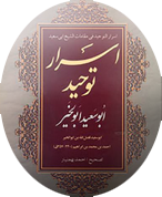 محمد بن منور